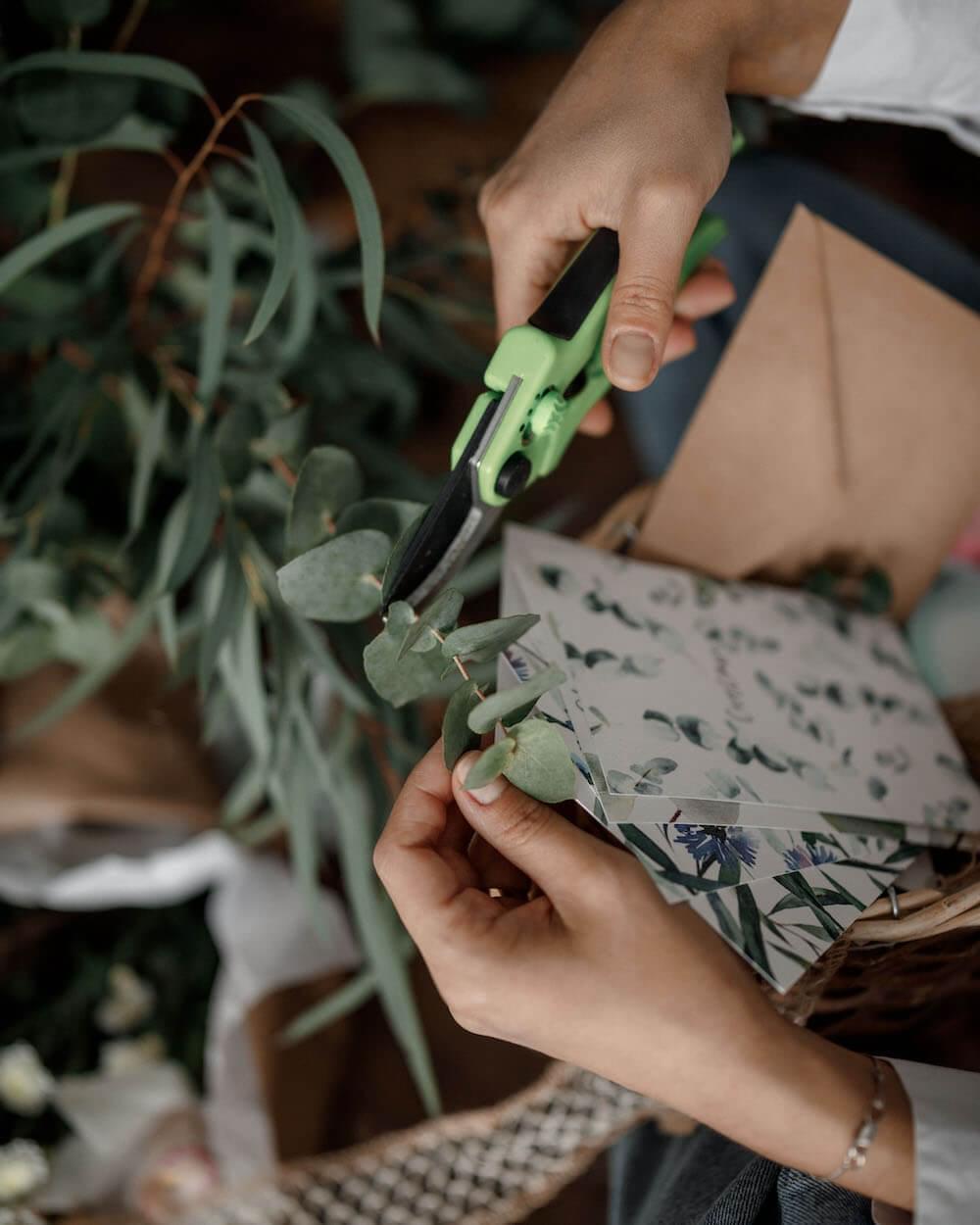 Преподаватели