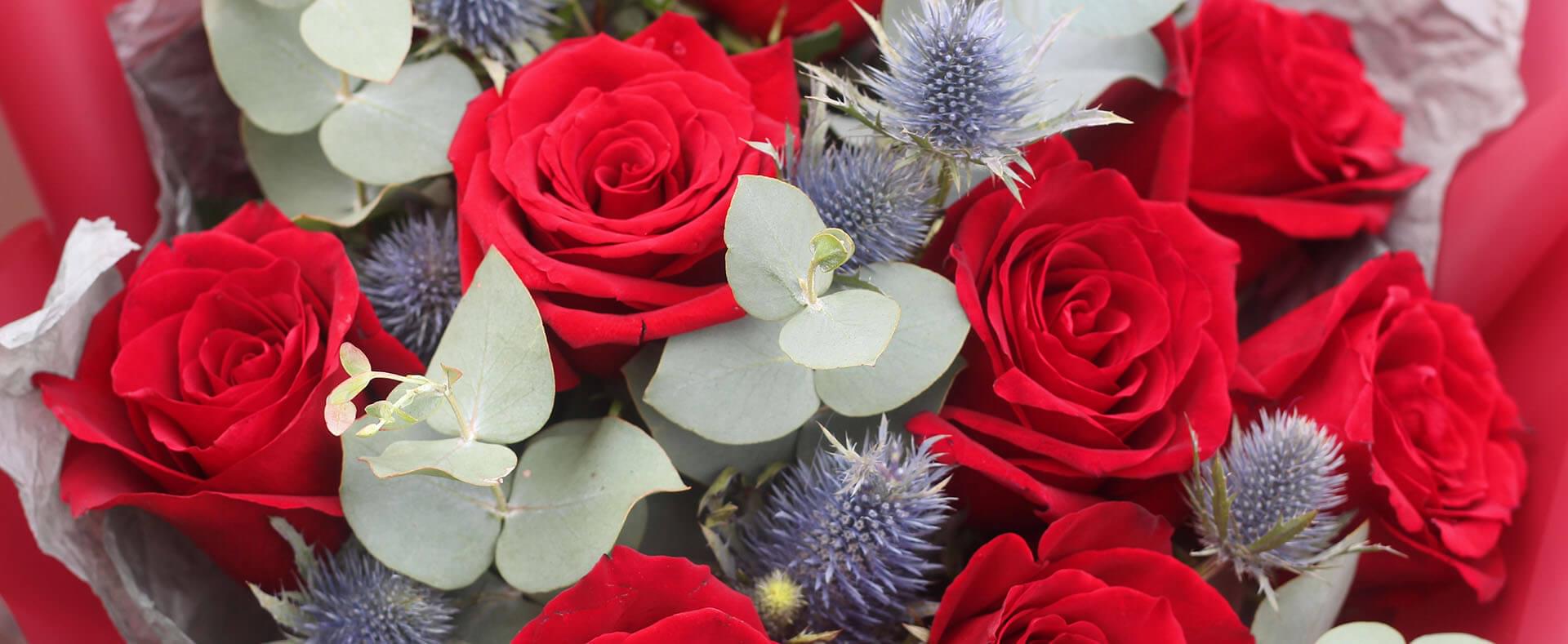 Контакты школы Makilove