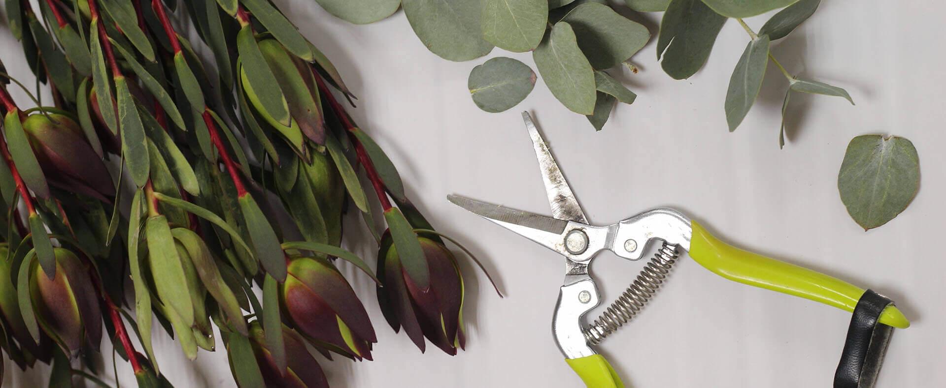 Курс для начинающих