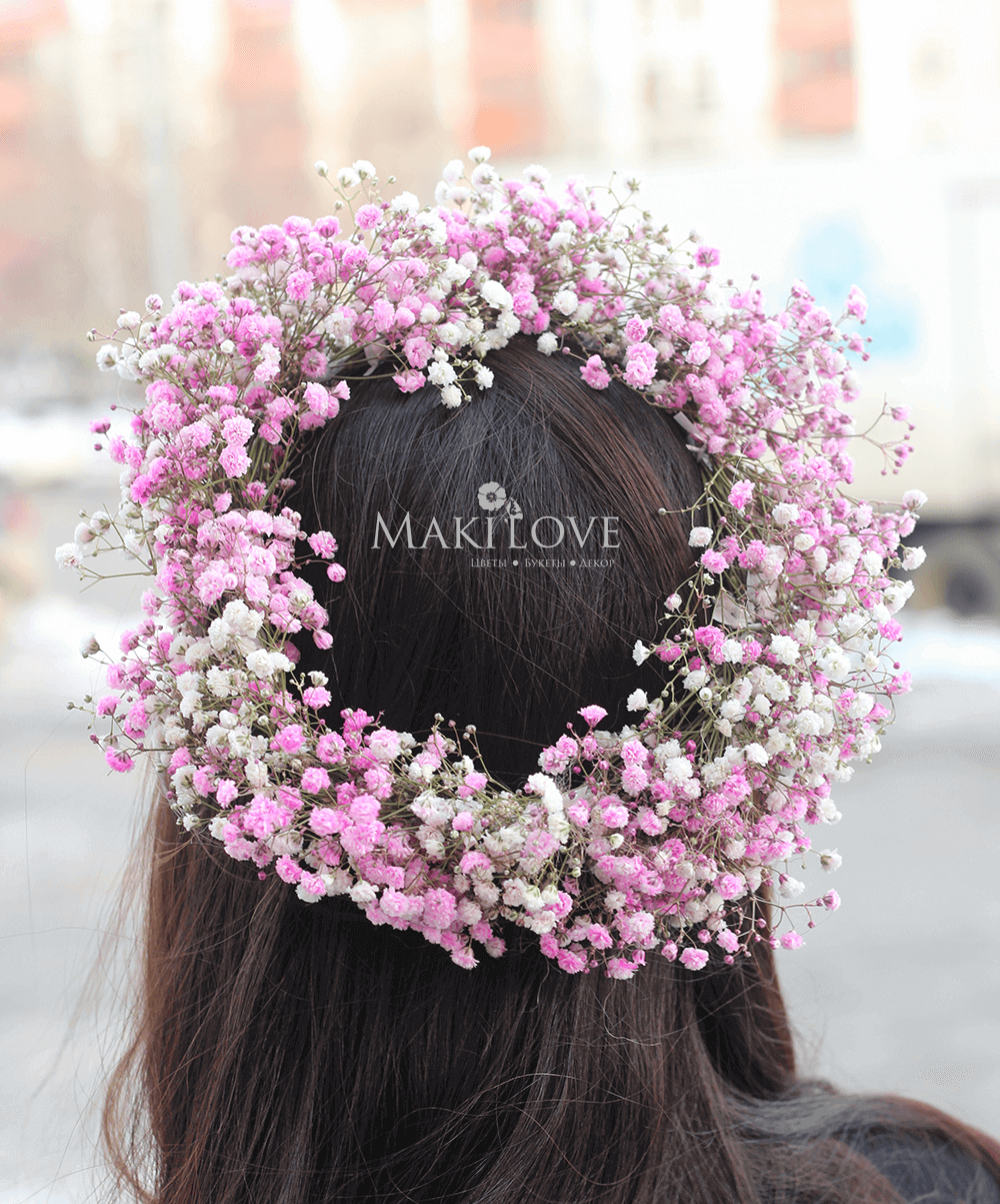 Программа курса