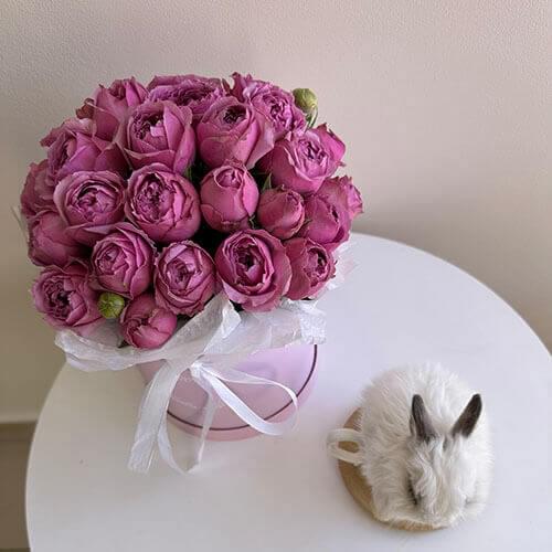 Программа курса